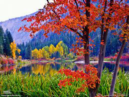 So Colorful Fall Wallpaper Nature Photos Fall Foliage