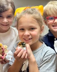 New Covenant Christian Academy