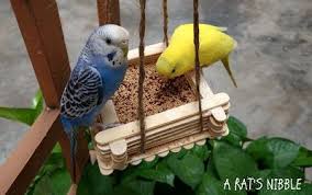 This is how i made the parrot costume that landed us in the newspaper! A Rat S Nibble Diy Bird Feeder With Ice Cream Sticks Diy Bird Toys Homemade Bird Toys Bird Toys
