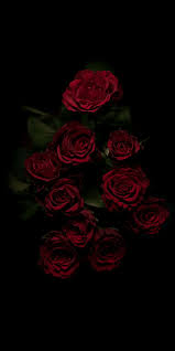 Flower Aesthetic Android Iphone Desktop Hd Backgrounds Wallpapers 1080p 4k Flowers Black Background Rose Wallpaper Dark Wallpaper