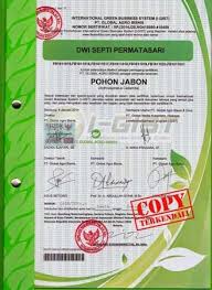 Peluang Bisnis Online Green Warrior Content Management System Green Warriors Online