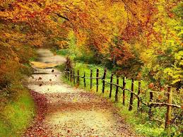 Beautiful Autumn Cliparts #2626200 | Clipart Library