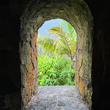 Vamos a disfrutar, que nunca se sabe si nos queda poco