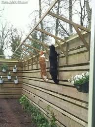 Unglaubliche Besten Outdoor Zwinger Z Hd Katzen Pet Friendly Backyard Outdoor Cat Enclosure Cat Fence