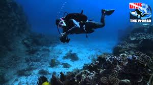 Diving Fiji Scuba Dive In Taveuni Bligh Water And The Koro Sea Sharks Manta Rays Octopus Youtube