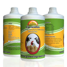 Poultry Crd E Coli Medicine