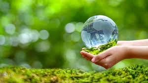 Check spelling or type a new query. Environmental Protection Embraces Internet To Promote Awareness Cgtn