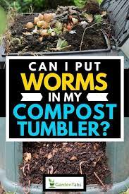Can I Put Worms In My Compost Tumbler Garden Tabs Compost Tumbler Compost Diy Compost Tumbler