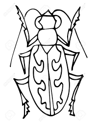 Free insects coloring pages to print and download. Insect Coloring Book Page With Bug For Kids Vector Illustration Royalty Free Cliparts Vectors And Stock Illustration Image 148292309