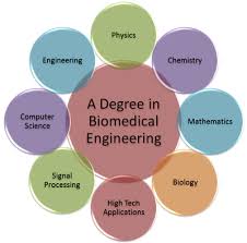 Daily Life Second Major Biomedical Engineering Medical Engineering Biomedical Biomedical Engineering