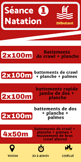 Entrainement De Natation Debutant Pour Mincir En Nageant Marketing Funnel Marketing Sports