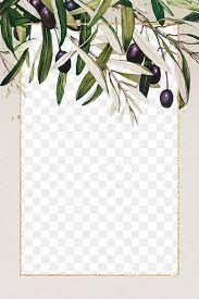 Olive Branches Frame Png Hand Drawn Border Design Space Premium Image By Rawpixel Com Ningzk V Olive Branch Branch Drawing Framed Wallpaper