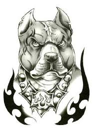 Classic Urban Pitbull Temporary Body Art Tattoos 2 5 X 3 5 Tmi Http Www Amazon Com Dp B008ulapro R Pitbull Tattoo Realistic Temporary Tattoos Bull Tattoos