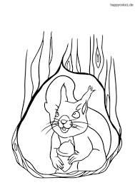 3 000 kostenlose eichhornchen und tier bilder pixabay. Eichhornchen Malvorlage Kostenlos Eichhornchen Ausmalbilder