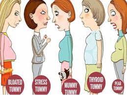 Kenapa perut buncit anda semakin hari semakin membuncit? 5 Kategori Perut Buncit Selalu Dialami Wanita Awas Mungkin Tanda Penyakit Vanilla Kismis