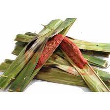 Beli otak otak online berkualitas dengan harga murah terbaru 2021 di tokopedia! Frozen Otak Otak Kempas Johor Original 16pcs Shopee Malaysia