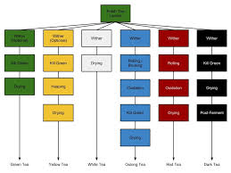 tea processing chart bulk tea fermented tea tea varieties