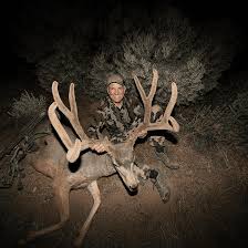 OVER 5000 INCHES OF MULE DEER MASS TAKEN WITH EASTON ARROWS