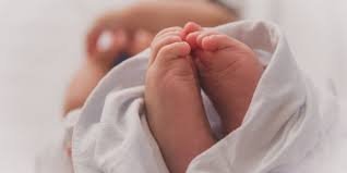 Akikah untuk anak lelaki 2 ekor kambing dan anak perempuan 1 ekor kambing. Perbezaan Perlaksanaan Aqiqah Anak Lelaki Dan Anak Perempuan