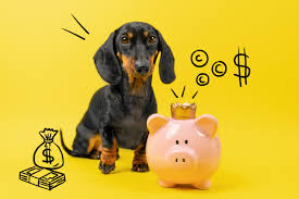 December CPI: AI Is Leaking Into The Report (SPX) | Seeking Alpha