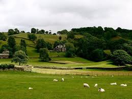 Nasi daripada beras baru sungguh enak. English Countryside English Countryside Countryside British Countryside