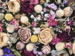 Get info of suppliers, manufacturers, exporters, traders of silica gel for buying in india. How To Dry Flowers 3 Easy Methods And Care Tips