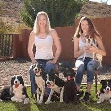 At wiggles and wags pet resort we pride ourselves on exceptional, experienced care and enjoy building a relationship with our customers. Wiggles And Wags Pet Resort 1811 E Baseline Rd Tempe Az 85283 Usa