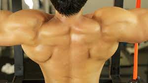 But this difficult movement can take years of strength training and practice. V Shape Back Workout Youtube