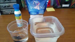 I swear i though from the way he was acting that he was. How To Give Your Betta A Salt Bath Sick Betta Treatment Youtube