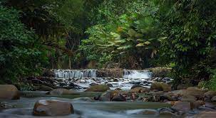 And of those places is in janda baik, pahang! Eryabysuria Janda Baik Enjoy Nature S Fresh And Peaceful Environment