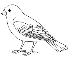 Coloring books can be good tools to explain surgery to your child. Online Coloring Pages Sparrow Coloring Paint A Sparrow Birds