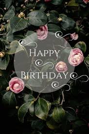 Birthday Pictures For Women 52 Sweet Or Funny Happy Birthday Images My Happy Birthday Wishes Happy Birthday Fun Cool Happy Birthday Images Funny Happy Birthday Images