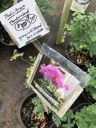Maybe you would like to learn more about one of these? Bob Scott Nursery 10116 W Wilshire Blvd Yukon Ok Nurseries Mapquest