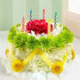 Today Gifts - Online Cake,Bouquet and Gifts Shop from www.fruitsandflowers.net