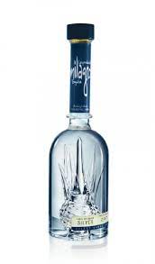 Cactus agave, salt and lime. 18 Cool Liquor Bottles You D Keep For The Bottle Best Tequila Tequila Tequila Bottles