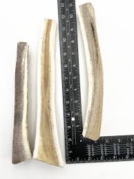 Jouets à mâcher pour chien en bois de wapiti Grand modèle séparé PAQUET DE  3