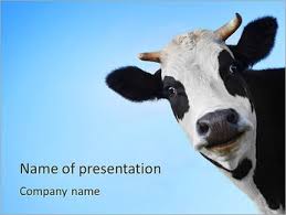 Microsoft powerpoint ist für mich immer eine art test, ob man alle marketinggrundlagen beherrscht oder ob in bestimmten bereichen noch. Tiere Und Wilde Natur Powerpoint Vorlagen Hintergrunde Google Folien Themen Smiletemplates Com