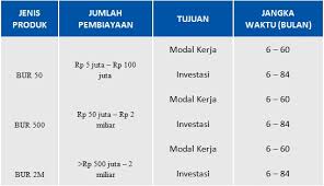 Kur diberikan untuk masyarakat indonesia yang memiliki usaha kecil maupun menengah. Produk Pinjaman Bca Syariah Pembiayaan Modal Kerja Untuk Umkm