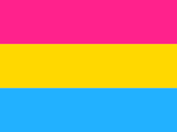 What Does Pansexual Mean