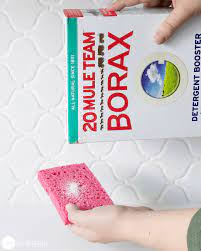 27 Brilliant Uses For Borax Borax Uses Cleaning Hacks Borax