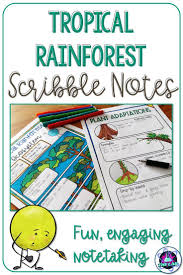 Tropical Rainforest Ecosystem Scribble Notes Plant Adaptations Rainforest Middle School Science Teacher