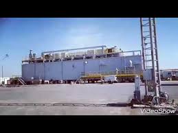 Кожен мисливець бажає знати, де сидить фазан. My Shbc Company Kuwait Youtube