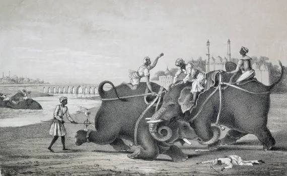 Prints of Elephants fighting, India, 1850. Creator: Unknown