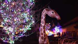 9 Things To Do In Denver Colorado This Weekend December 6 8 9news Com