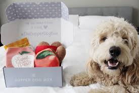 Puppy gift box is available for shipping only. 10 Unique Subscription Gift Boxes For Every Pet Lover Cratejoy