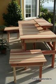 Bonsai Display Table Bonsai Garden Bonsai Plants Bonsai