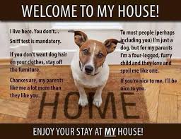 Why Probiotics Are Important For Your Pet S Health Welcome To My House Dog Jokes Dogs