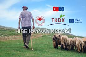 Devlet yardımı devlet destekleri kosgeb destekleri maddi yardım. F Tcr7frtme Lm