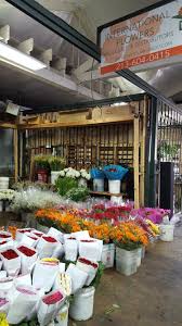 Maybe you would like to learn more about one of these? Fresh Cut Bulk Flowers