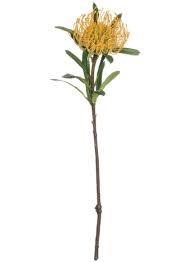 Yellow Pincushion Protea Studio 4 Designs Protea Flower Billy Buttons Pin Cushions
